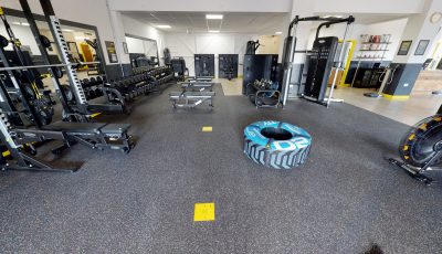 Fitness Theory 3D Model