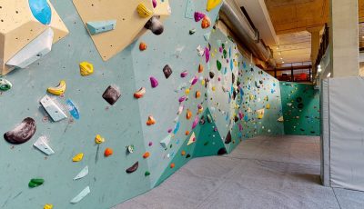 The Nest Climbing 3D Model